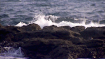 waves crash against rocks